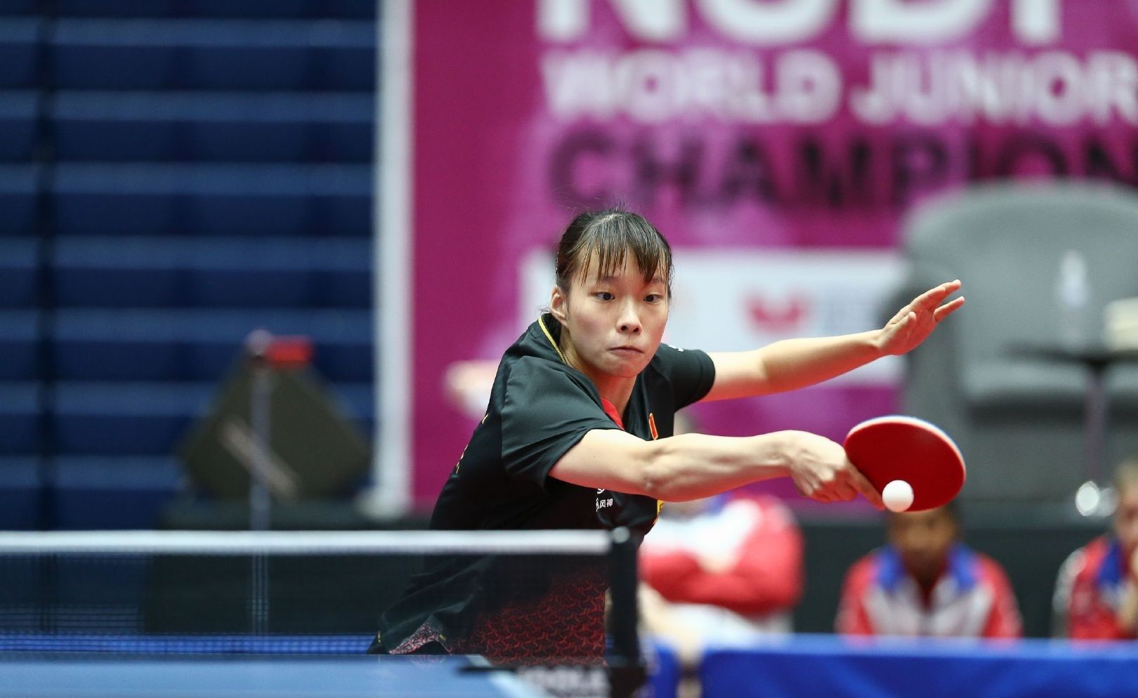 训练条件和 训练条件和