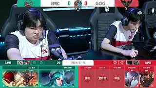 下注频率